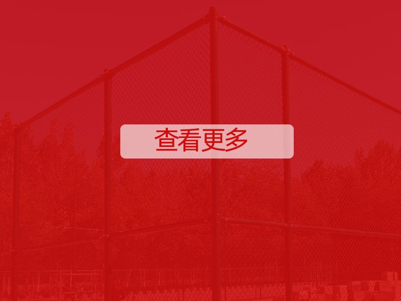 查看更多